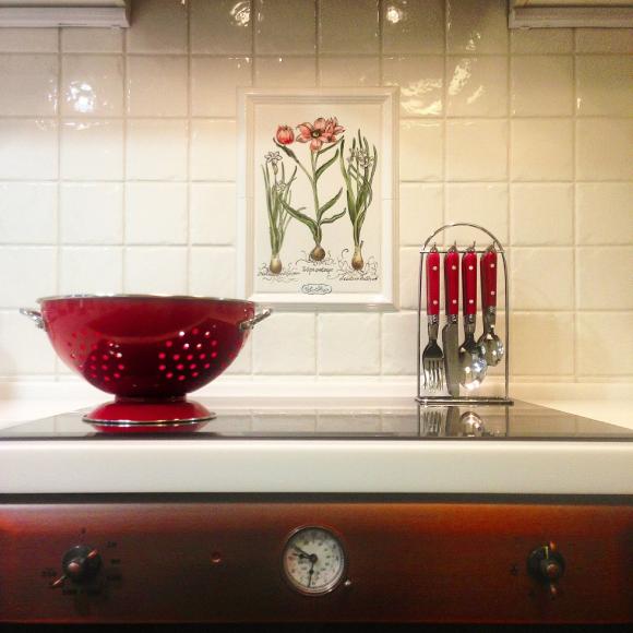 Вставка на кухонный фартук "Ботанические гравюры" 20 х 30 см 